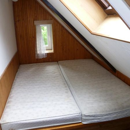 Penzion Pod Studenovem โรกีนีซ นัด ยีเซอโร ภายนอก รูปภาพ
