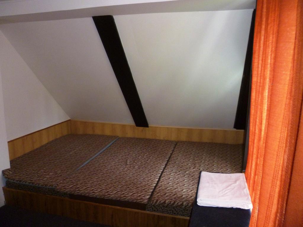 Penzion Pod Studenovem โรกีนีซ นัด ยีเซอโร ภายนอก รูปภาพ